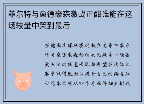 菲尔特与桑德豪森激战正酣谁能在这场较量中笑到最后